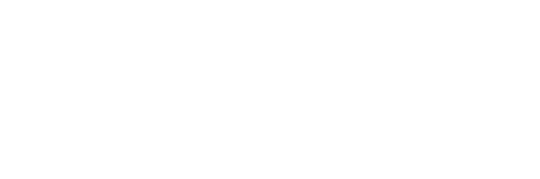 Pirátská strana logo